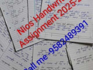 Nios-Hindi-301-Solved-Assignment-For-12th-Class-2025-26-2